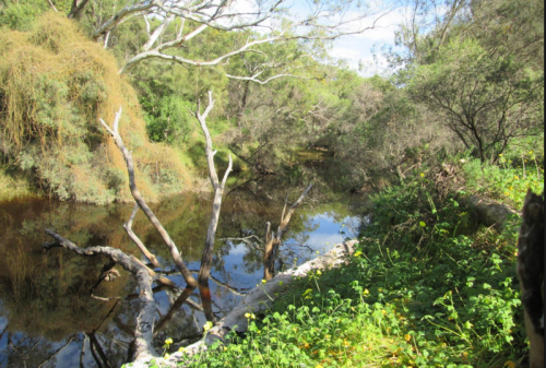 CHAPMAN RIVER